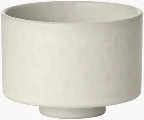 Tazza Makoto