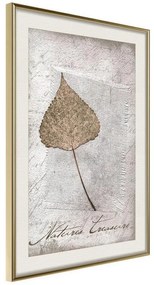 Poster  Dried Leaf  Cornice Quadri Cornice d'oro con passe-partout, Larghezza x Altezza Home decor 40x60