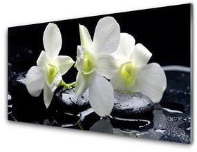 Quadro in vetro acrilico Fiore di orchidea bianca 100x50 cm