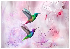 Fotomurale Colourful Hummingbirds (Purple)