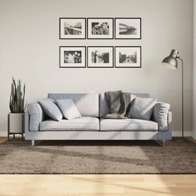 Tappeto A Pelo Lucido Lungo Istan Effetto Grigio 160x230 Cm /