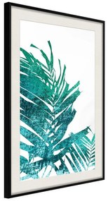 Poster  Teal Palm on White Background  Cornice Quadri Cornice nera con pass-partout, Larghezza x Altezza Home decor 20x30