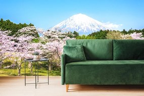 Carta da parati – Vulcano Fuji