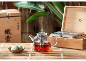 Teiera in vetro 500 ml Minuet Santhee - Bredemeijer