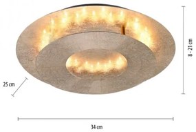 Paul Neuhaus 9011-12 - Plafoniera LED NEVIS LED/6W/230V oro