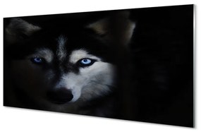 Quadro acrilico Eyes Wolf 100x50 cm