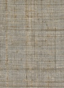 Élitis Carta da parati Abaca - VP 983 81
