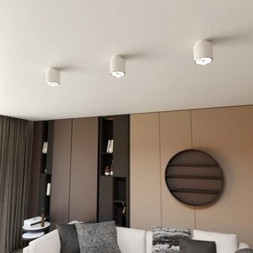 Lampada da Soffitto in Acciaio AR111 NANO 1 Bianco Colore del corpo Bianco