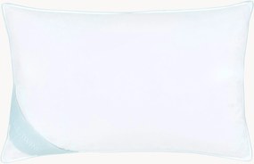 Cuscino in piuma Comfort, duro