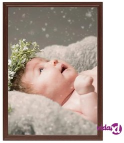 vidaXL Cornici Foto Collage 5 pz per Tavolo Rosso Scuro 10x15 cm