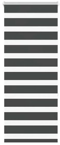 Tenda A Rullo Zebra Nero Larghezza Tessuto 55,9 Cm Poliestere /
