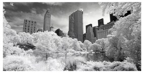 Stampa su tela New York con la neve b&w, multicolore 190 x 90 cm