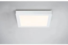 Paulmann 70645 - LED/12,5W Plafoniera LUNAR 230V 22,5x22,5 cm bianco