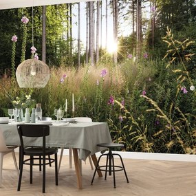 Fotomurale KOMAR Summer glade, Multicolore 350X250 cm