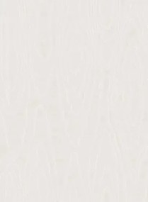 Cole & Son Carta da parati Watered Silk - Silver