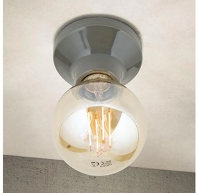 Orion - Plafoniera FROST 1xE27/60W/230V grigia