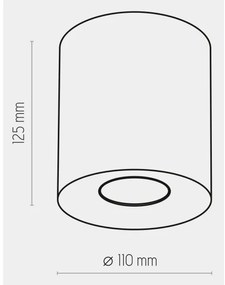 Faretto ORION 1xGU10/10W/230V bianco