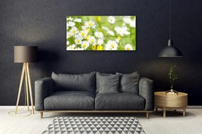 Quadro in vetro Pianta di fiori di margherita 100x50 cm