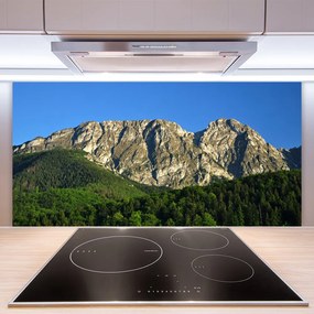 Pannello cucina paraschizzi Montagna della foresta della natura 100x50 cm