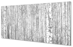 Quadro acrilico Alberi della foresta in bianco e nero 100x50 cm