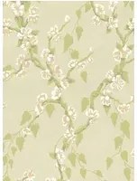 Little Greene Carta da parati Sakura - Pomme