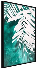 Poster  White Palm on Teal Background  Cornice Quadri Cornice nera, Larghezza x Altezza Home decor 20x30