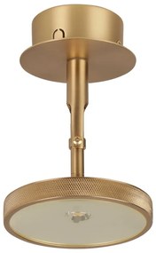 Faretto LED in oro ø 12 cm Asteria Spot - UMAGE