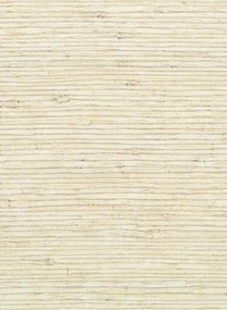 Élitis Carta da parati Elégante - RM 1011 01