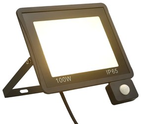 Faretto A Led Con Sensore 100 W Bianco Caldo /