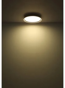 Globo 48802-48 - Plafoniera LED dimmerabile DUBLIN LED/48W/230V + +TC