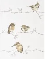 Harlequin Carta da parati Persico - Neutral/ Chalk
