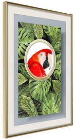 Poster  Parrot Says Hi  Cornice Quadri Cornice d'oro con passe-partout, Larghezza x Altezza Home decor 20x30