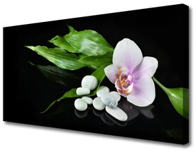 Quadro su tela Foglie di pietre di fiori 100x50 cm