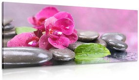 Stampa su tela – Orchidea con tocco di relax