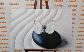 Stampa su tela – Farfalla bianca su pietra nera