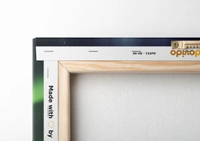 Stampa su tela – Aurora boreale verde