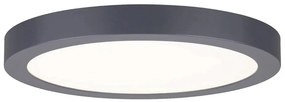 Paulmann 70988 - LED/22W Plafoniera ABIA 230V antracite