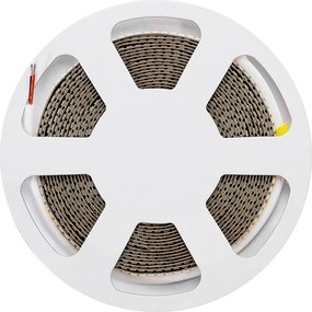 Striscia LED 24V 25W/m Altissima Luminosità Professionale - IP54 - 5 metri