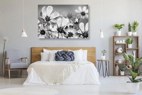 Stampa su tela – Fiori estivi in bianco e nero