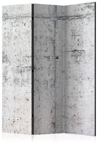 Paravento Parete di cemento - texture architettonica di cemento urbano grigio