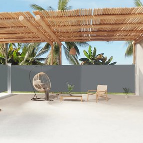 Tenda Da Sole Laterale Retrattile Antracite 180x1200 Cm /