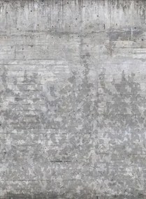 Rebel Walls Carta da parati panoramica Climbing Clorofyl - Shadow