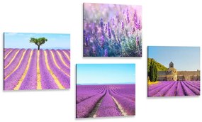 Set di quadri – Campo di lavanda