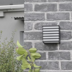 Lampada da parete esterna MAXWELL LED 10W 230V IP54 antracite