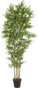 Set 2 Piante Artificiali di Bamboo 70x70x185 cm in Plastica con Vasi Verde...
