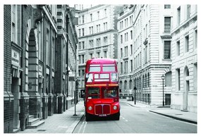Stampa su tela Red bus, multicolore 85 x 135 cm