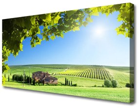 Quadro su tela Campo di foglie paesaggio 100x50 cm