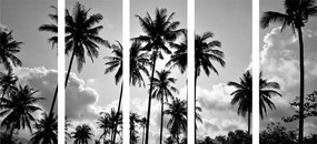 Quadri 5 pezzi – Palme da cocco sulla spiaggia in bianco e nero