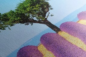 Quadro su tela – Campo di lavanda provenzale