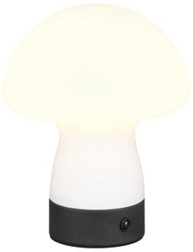Lampada da tavolo LED bianco opaco con paralume in vetro (altezza totale 18 cm) Dooley – Trio